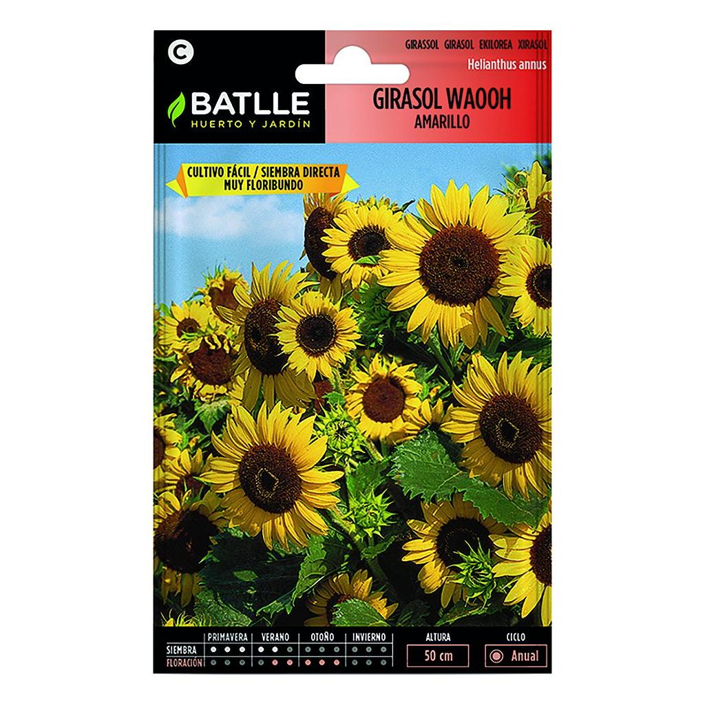 Zonnebloempitten Waooh geel Batlle