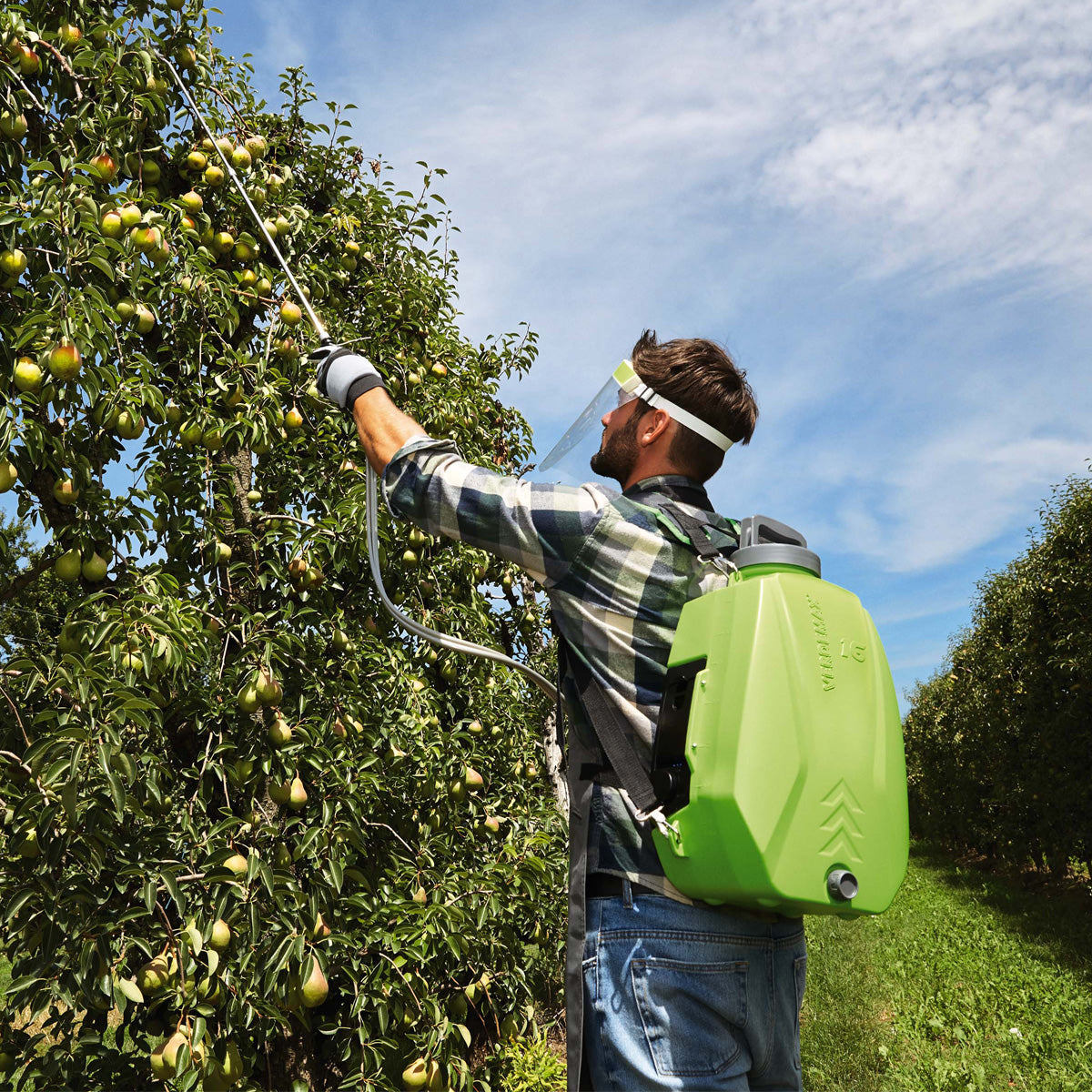 Spruzzatore a zaino a batteria 16 l Verdemax