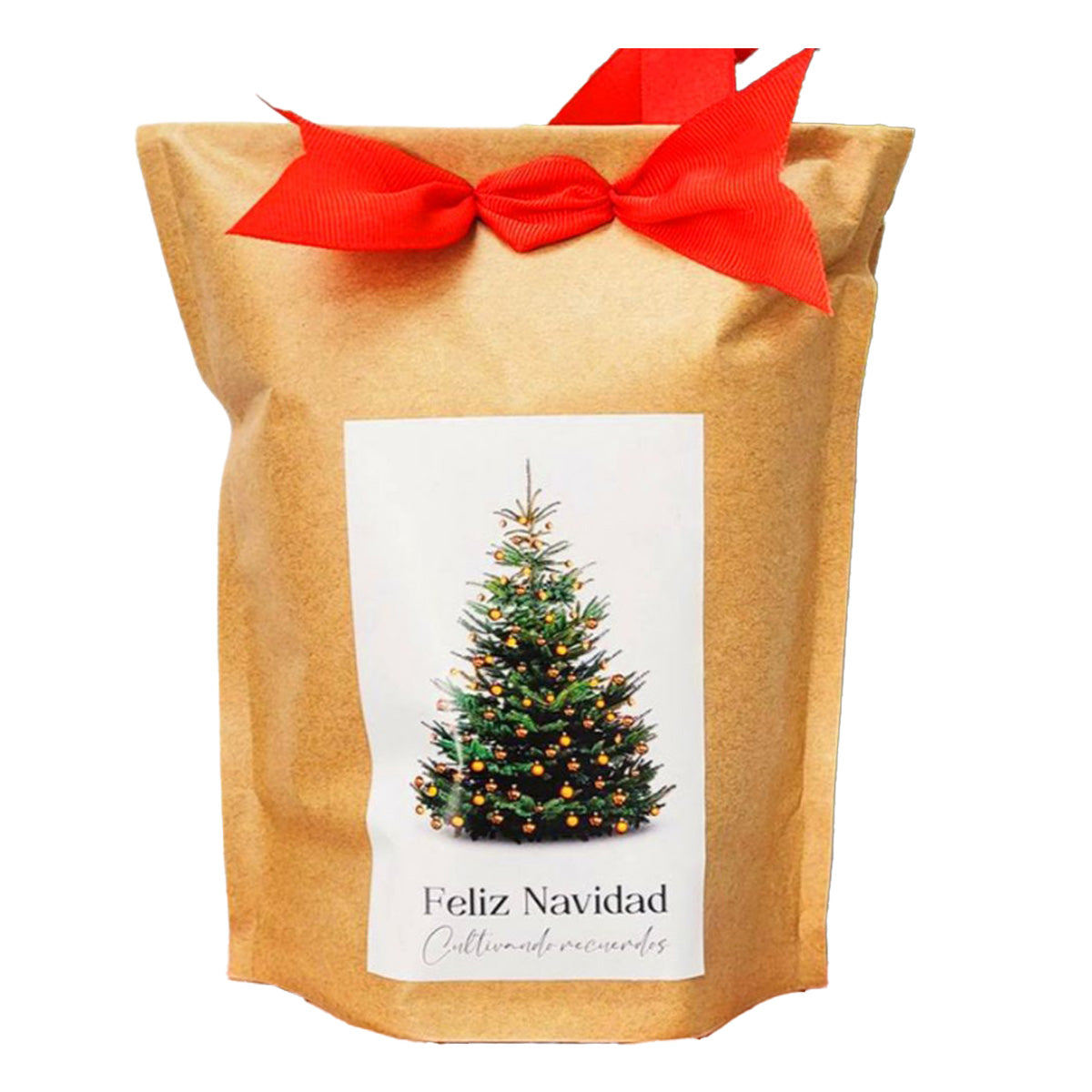 Weihnachtsbaum-Anzuchtset in Kraftpapier, unvergessliches Geschenk Garden Pocket