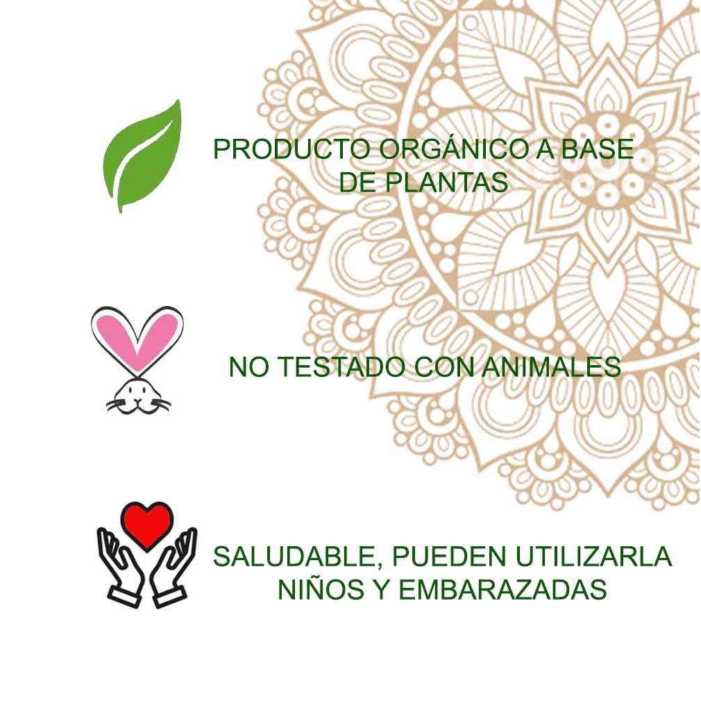 Radhe Henna Powder Tattoo 50 g