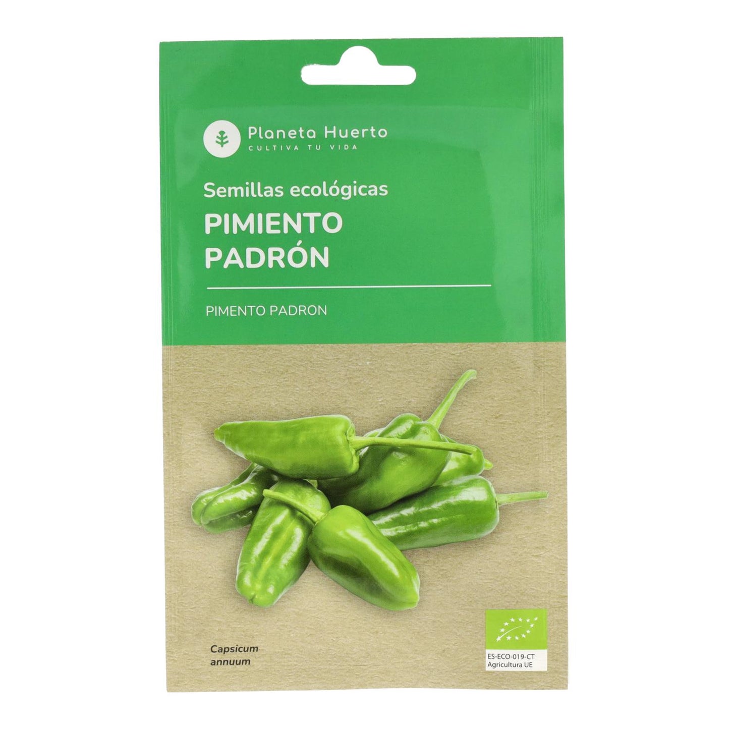 Ekologiska frön av Padron Pepper Planeta Huerto