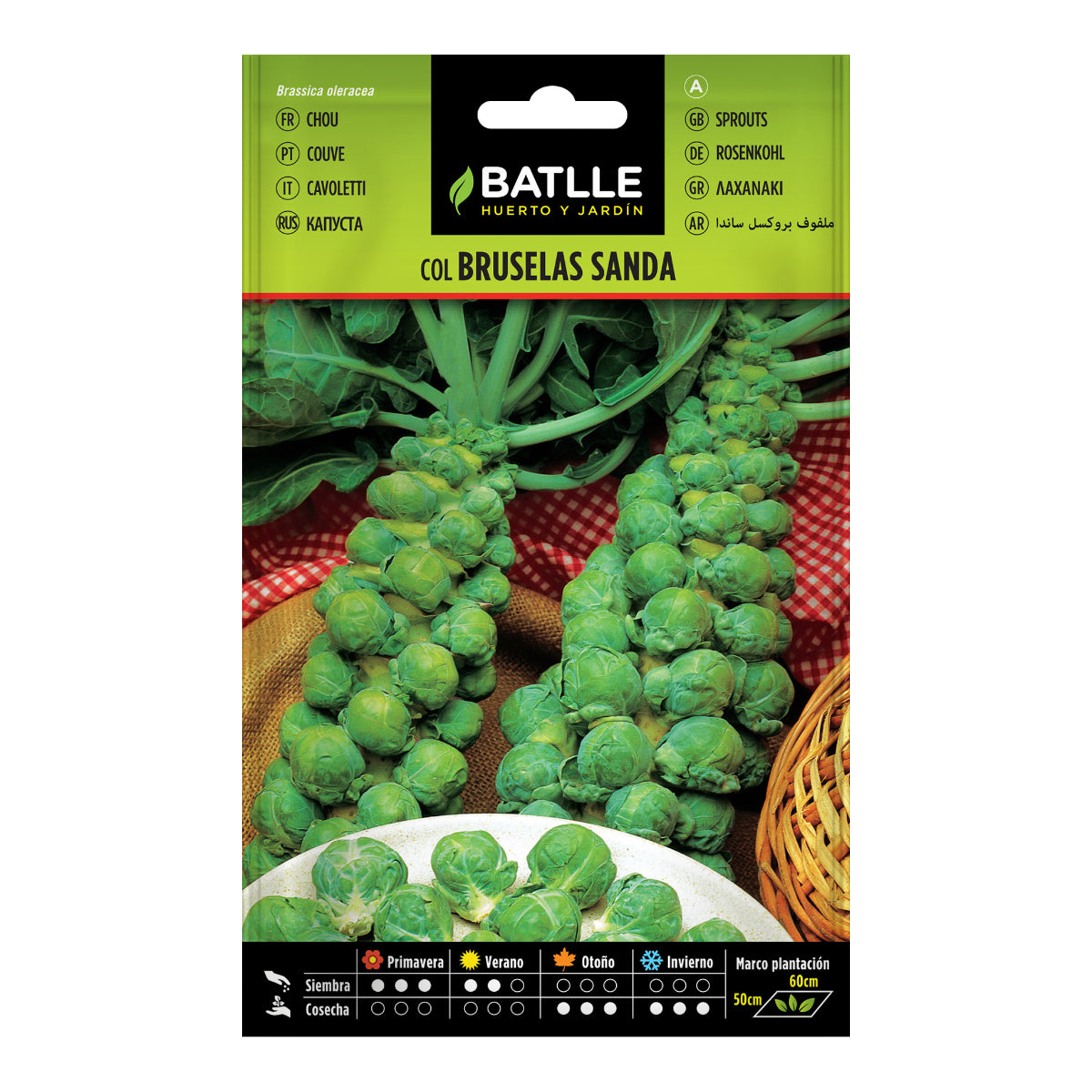 Nasiona brukselki Sanda Batlle