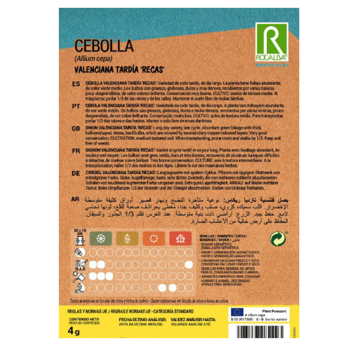 Graines d'oignon tardif de Valence en bande, Rocalba