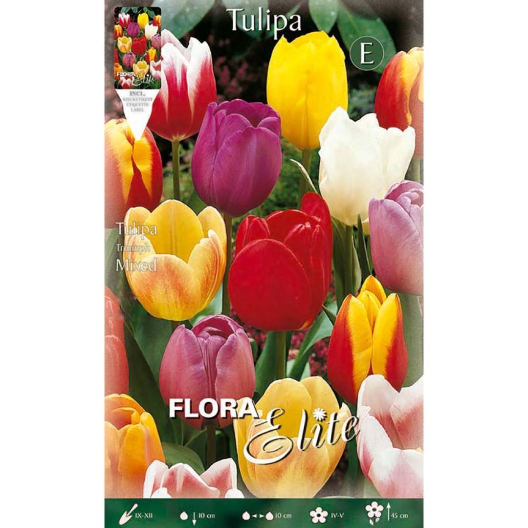 Tulpenbollen mix 7 stuks