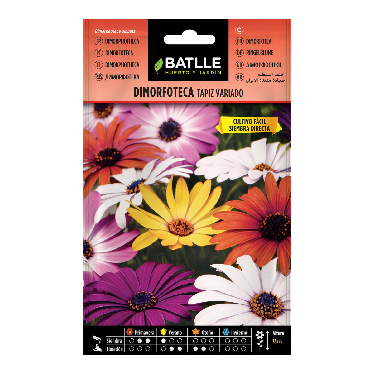 Batlle assorted Dimorfoteca Tapiz seeds