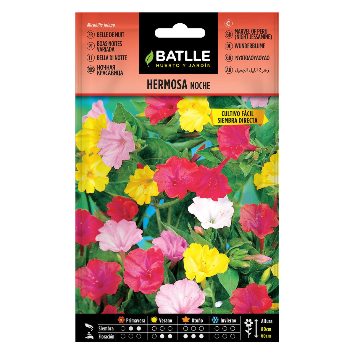 Batlle Assorted Morning Glory Seeds