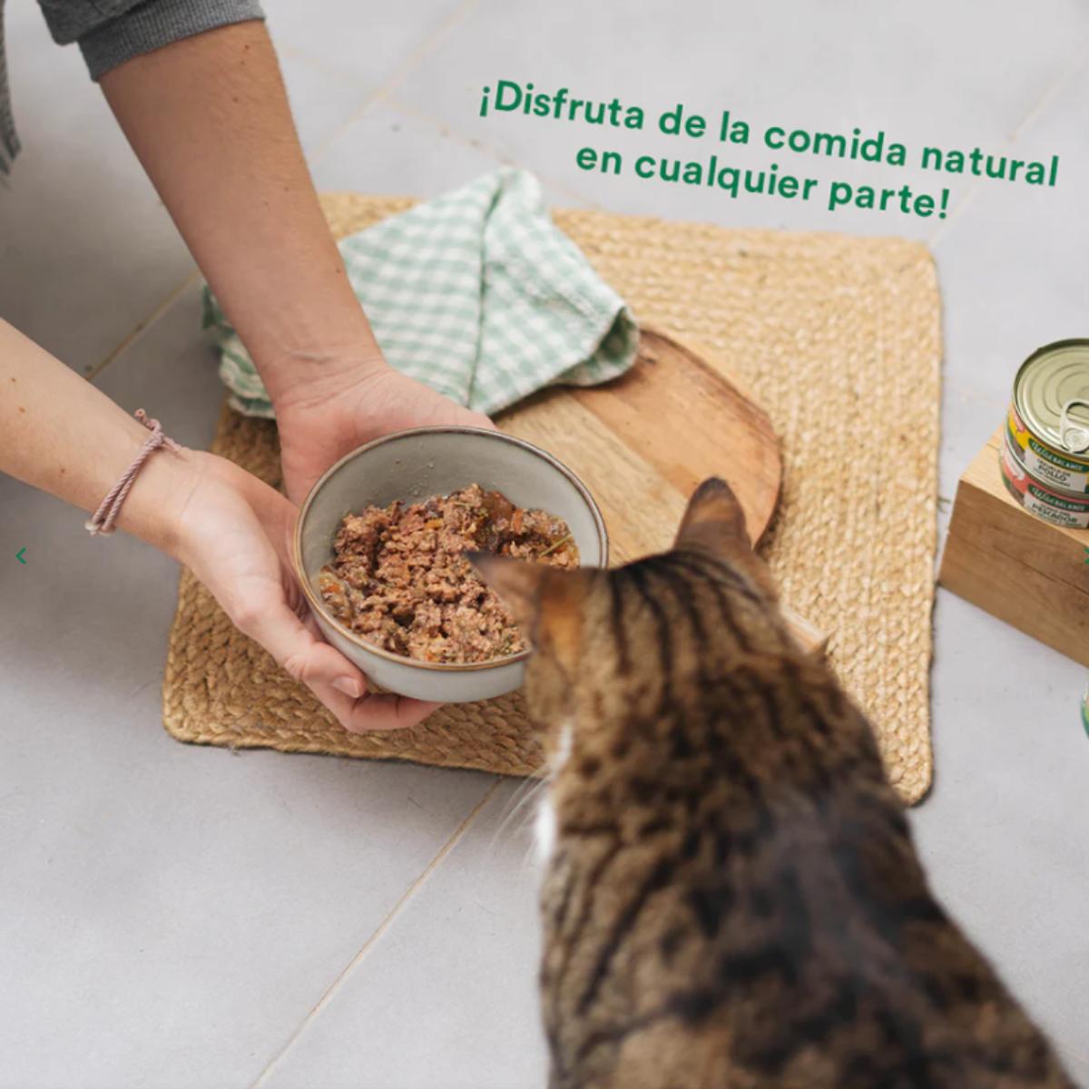Volledig blik marktstoofpotje met kalkoen en rundvlees voor katten Wild Balance 80 g