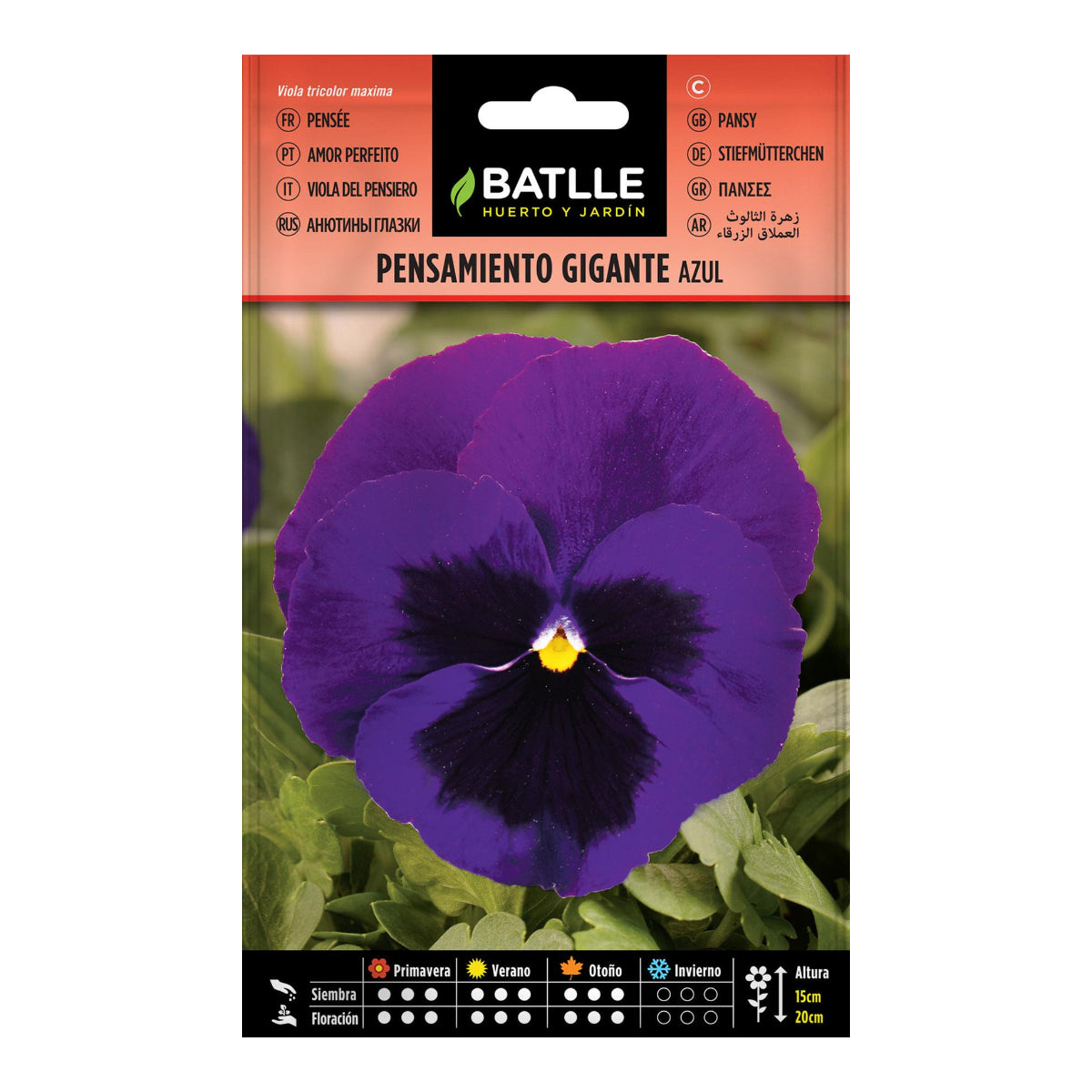 Zaden van blauwe reuzenviooltjes Batlle
