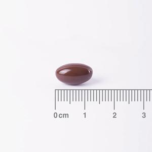 Sägepalmen-Extrakt Lamberts 60 Kapseln