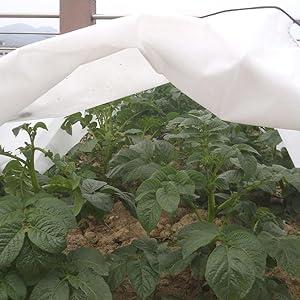 Tunnel di coltivazione antigelo 3 m Biotop