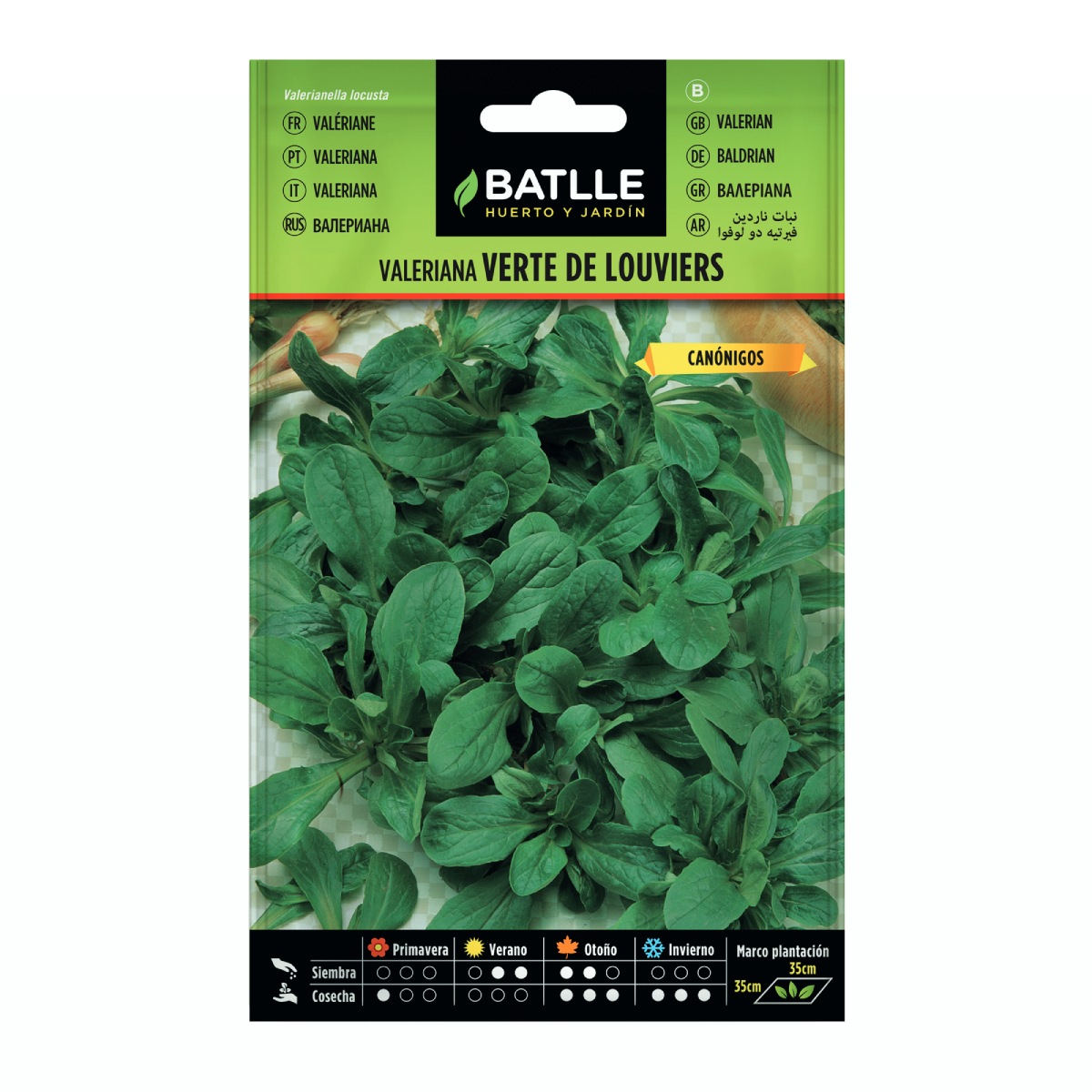 Valerian Verte de Louviers seeds, Batlle