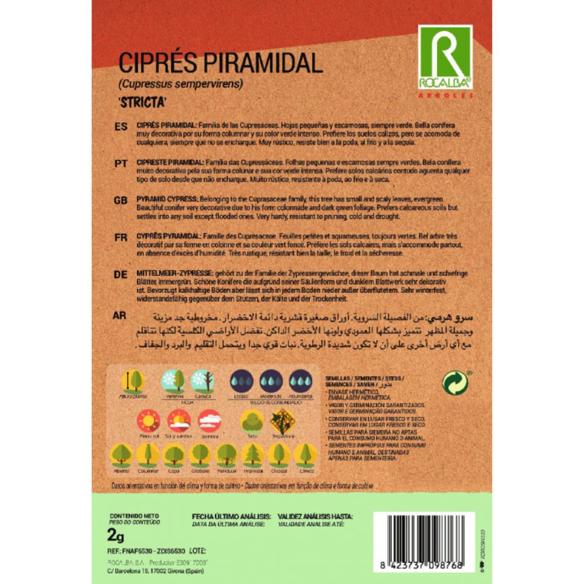 Nasiona cyprysu piramidalnego Cyprysy wiecznie zielone