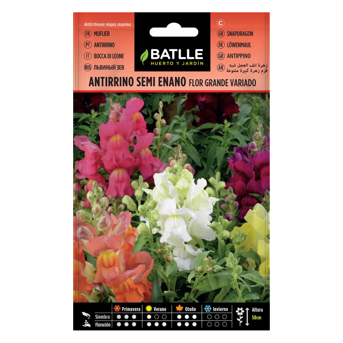 Batlle Semi-Dwarf Antirrhinum Seeds