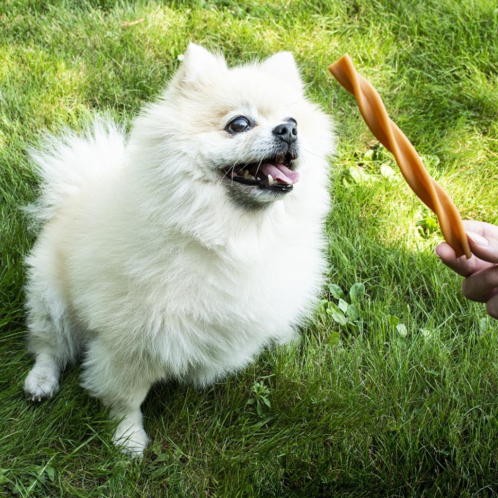 Garden Bites Fruity Dental Swirls Przekąska dentystyczna dla psów S 30 szt. Duvo