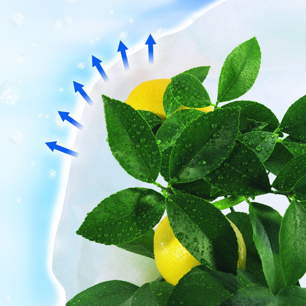 Pokrowiec przeciwmrozowy Hiversac Deco Nortene 3 szt.