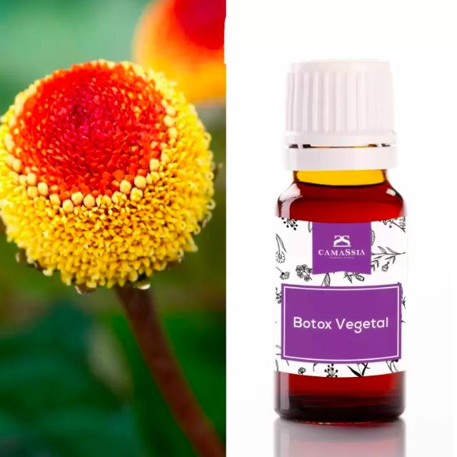 Botox vegetale Principio attivo, 10 ml. Camassia