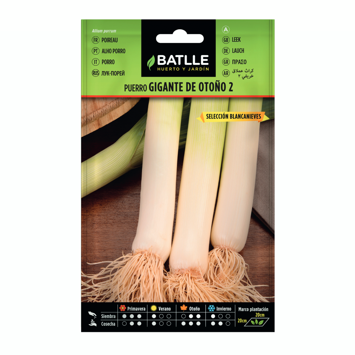 Samen für Riesenlauch im Herbst 2 Sel. Blancanieves Batlle