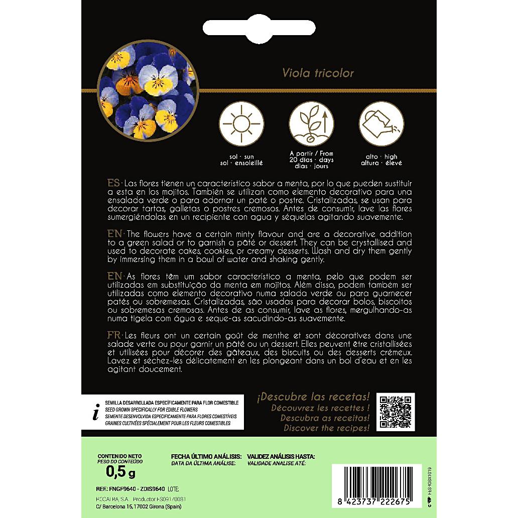 Nasiona jadalnych kwiatów bratka Rocalba