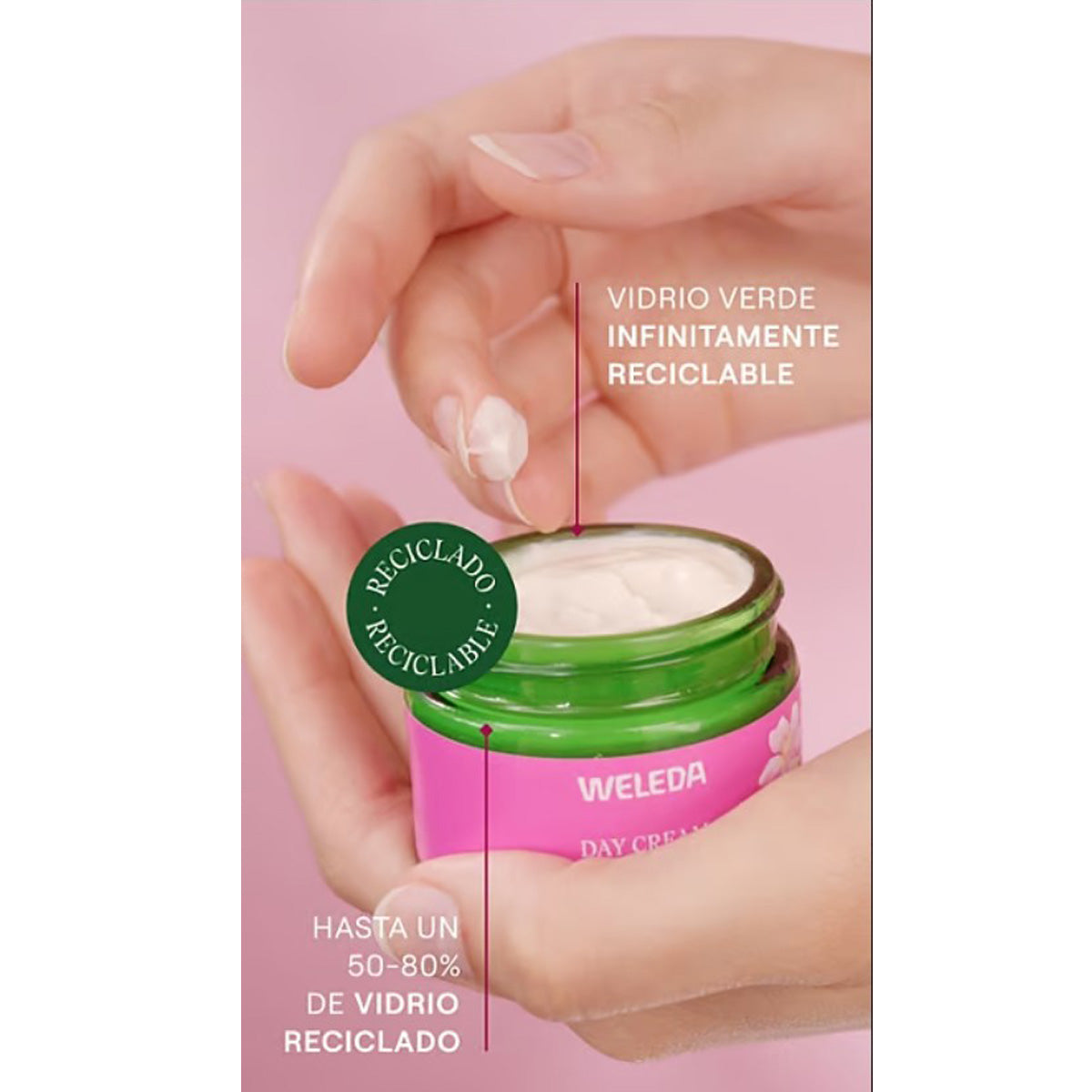 Weleda Nachtcrème met rozenbottel en witte thee, 40 ml