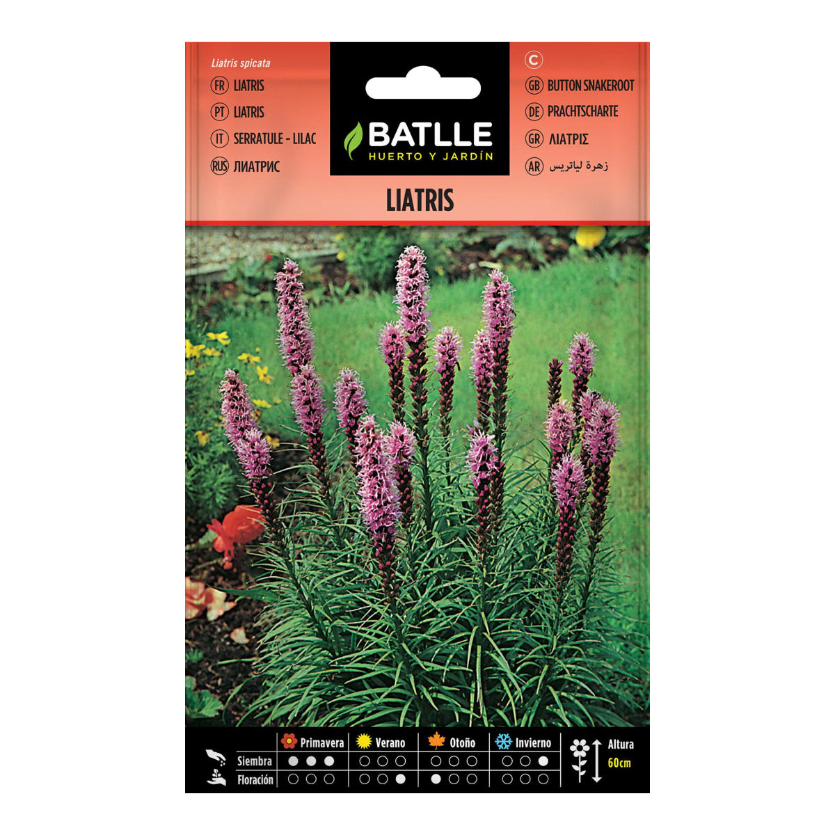Liatris Batlle seeds
