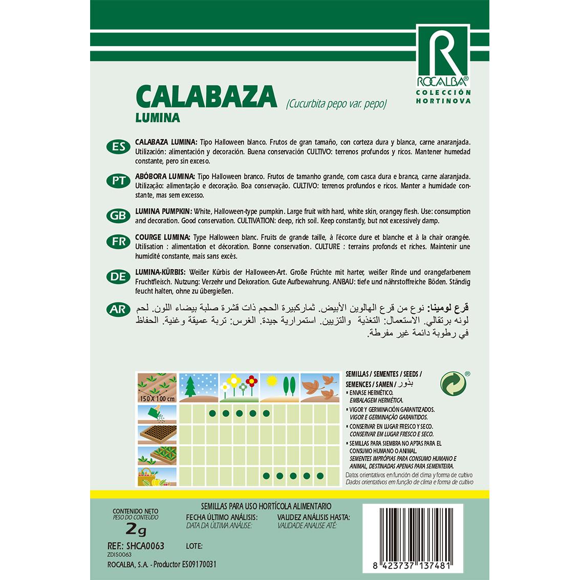 Lumina pumpkin seeds