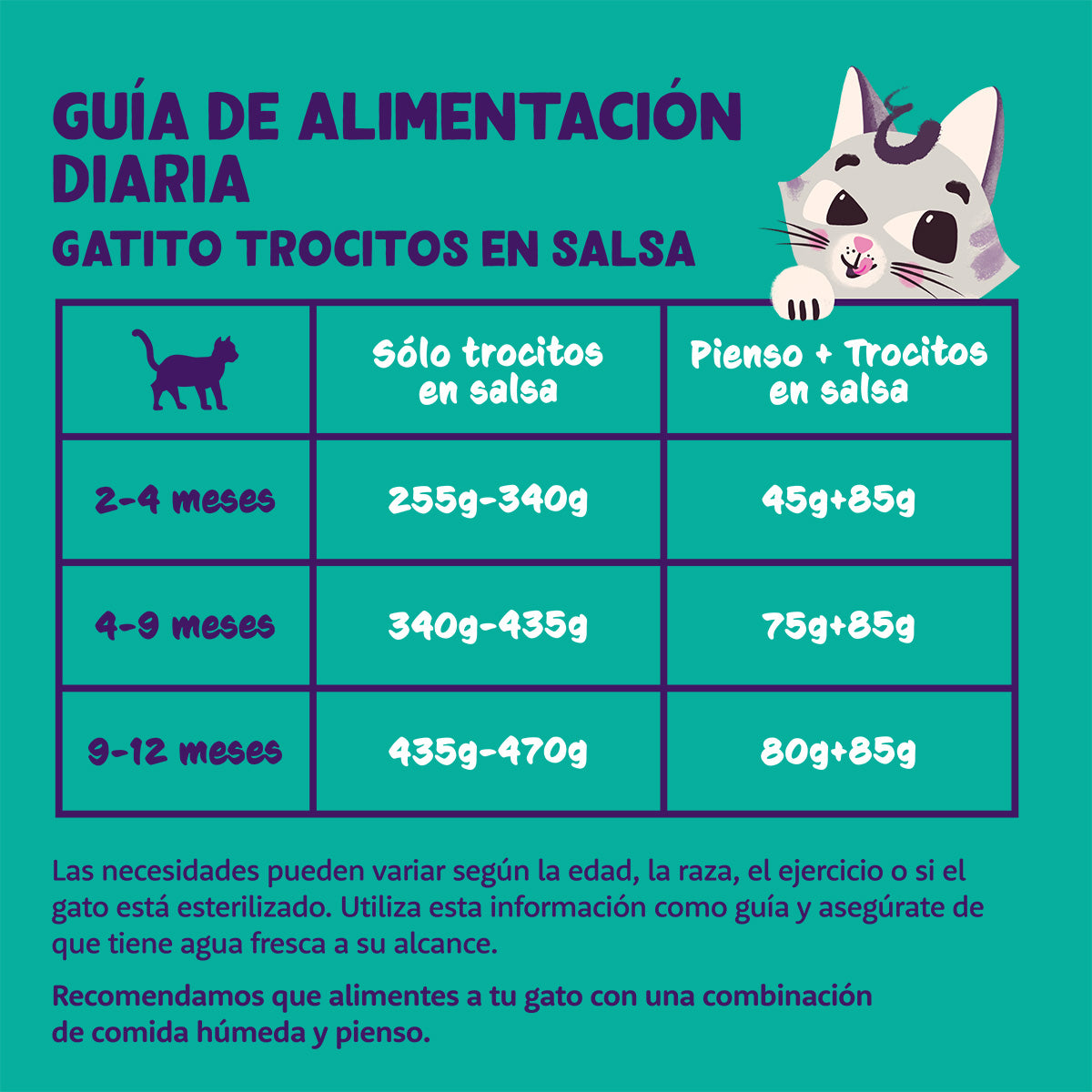 Fuktig kattmat i sås med kalkon- och kycklingbitar, Edgard & Cooper 85 g