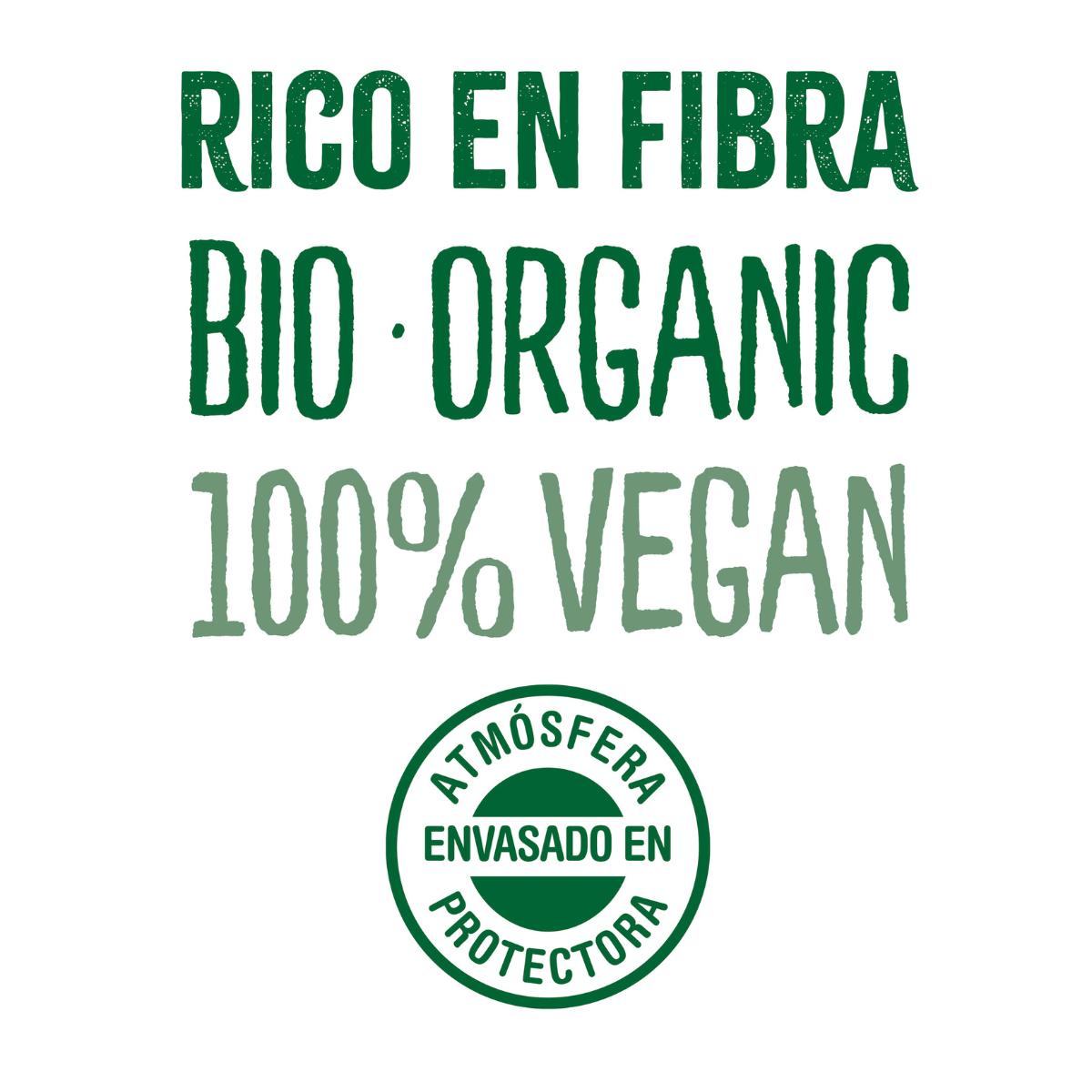 Psylliumzaadjes BIO NaturGreen 100 g