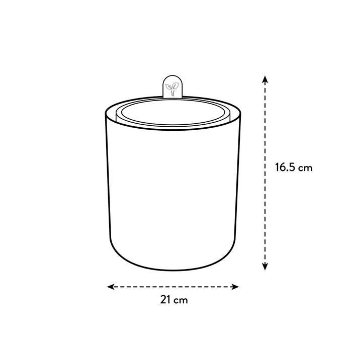 Selbstbewässernder Kräutertopf Bouncy Basil Elho Verde