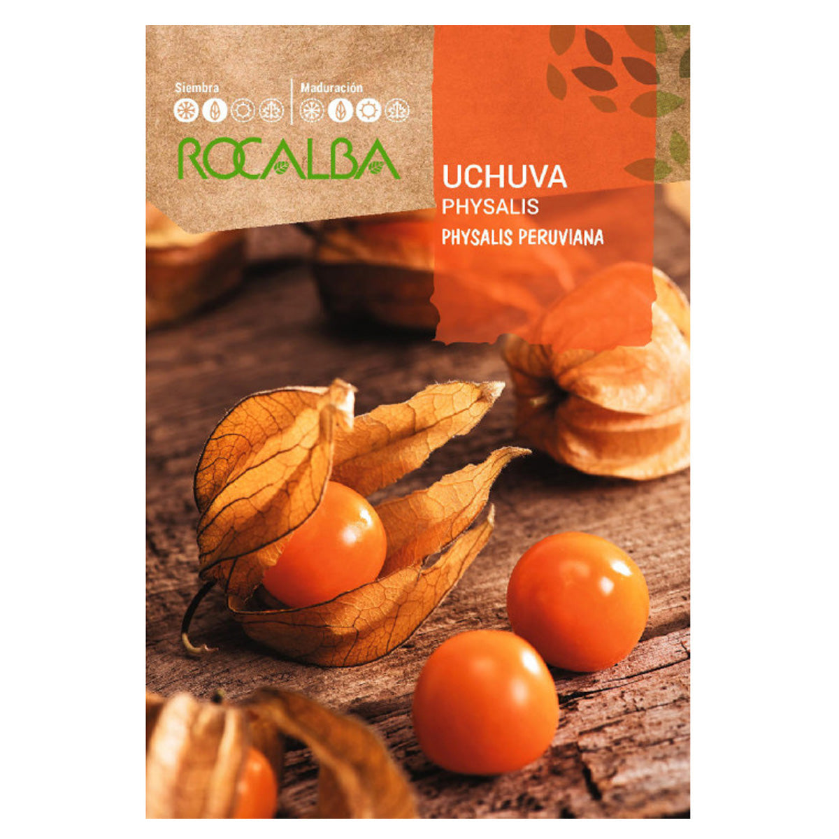 Graines de Physalis Uchuva, Rocalba