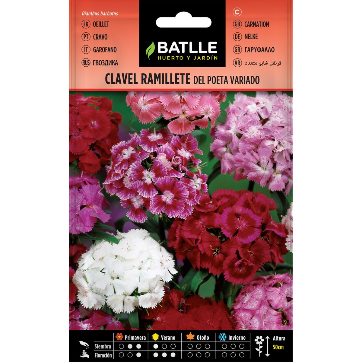 Zaden van anjerboeket van de dichter, gemengd Batlle