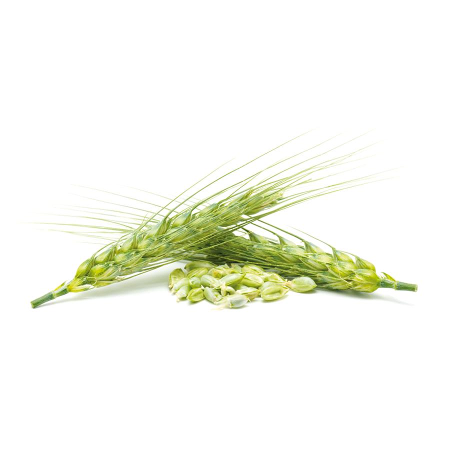 Lievito di birra El Granero, 500 compresse da 400 mg