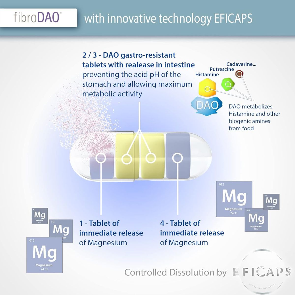 fibroDAO® 60 gélules avec comprimés gastro-résistants