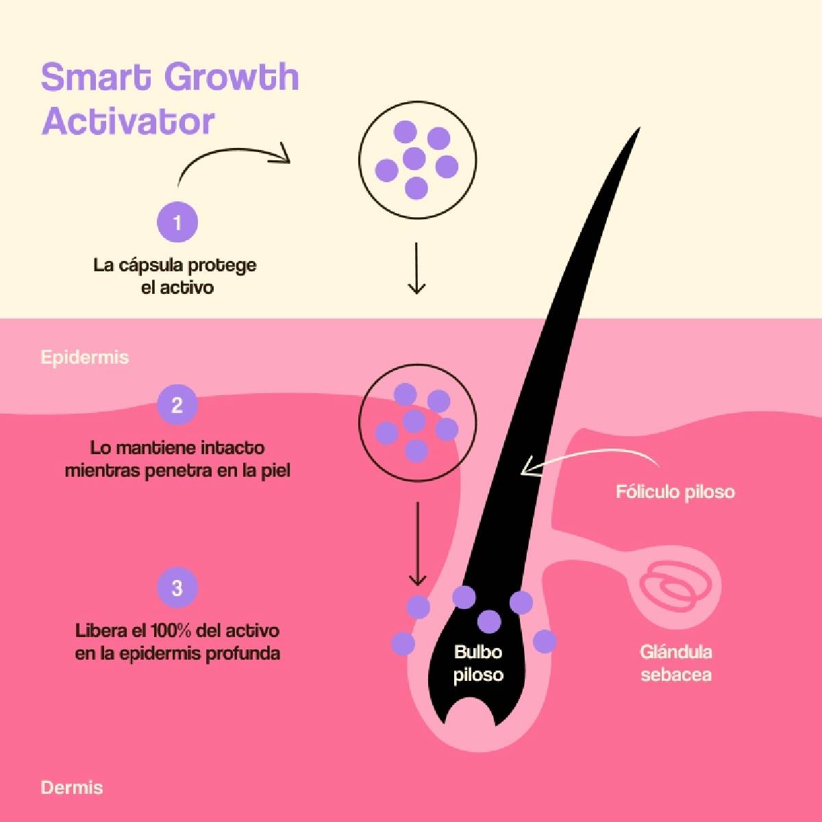 Kuracja na porost i gęstość włosów Freshly 50 ml