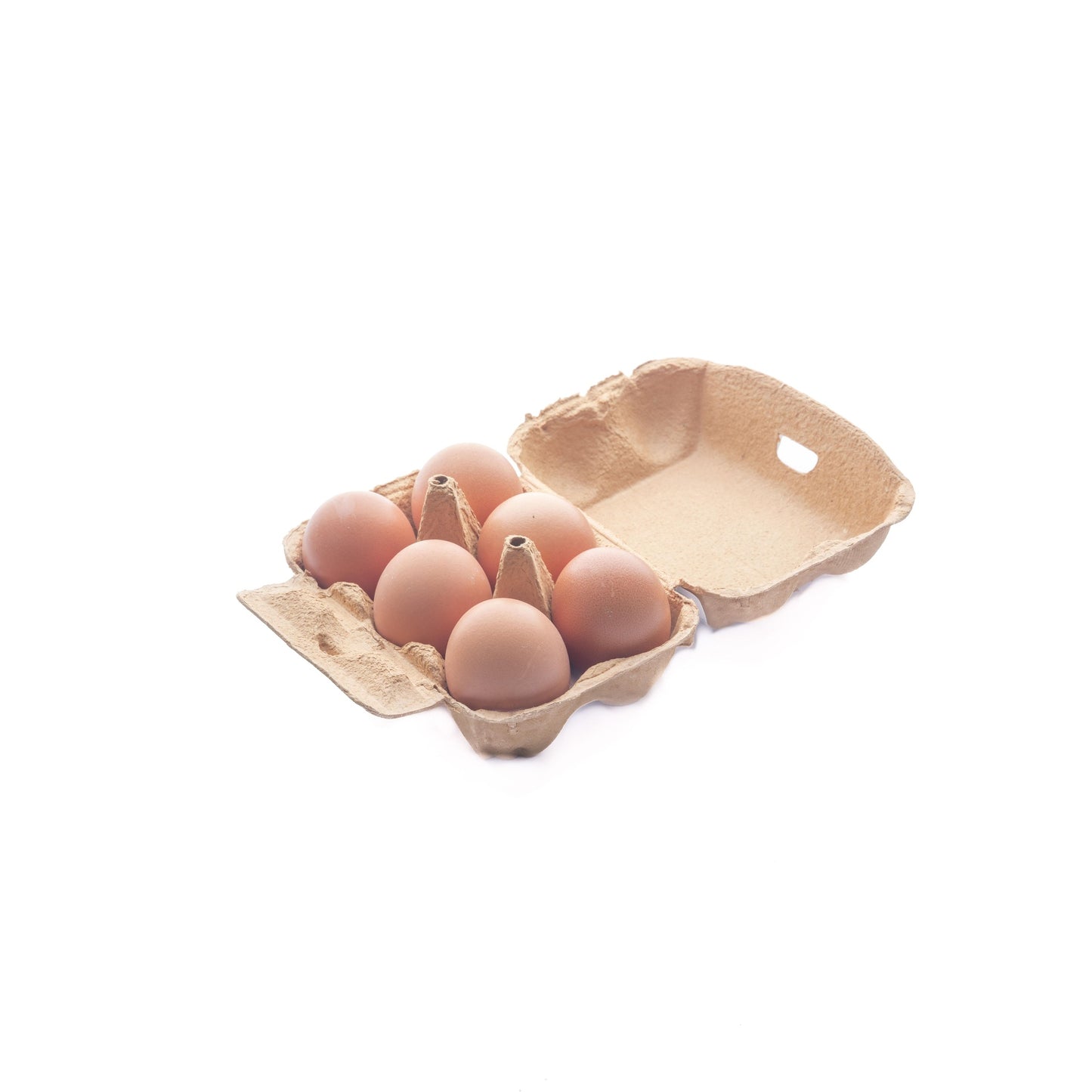6x Planet Garden ECO Eieren
