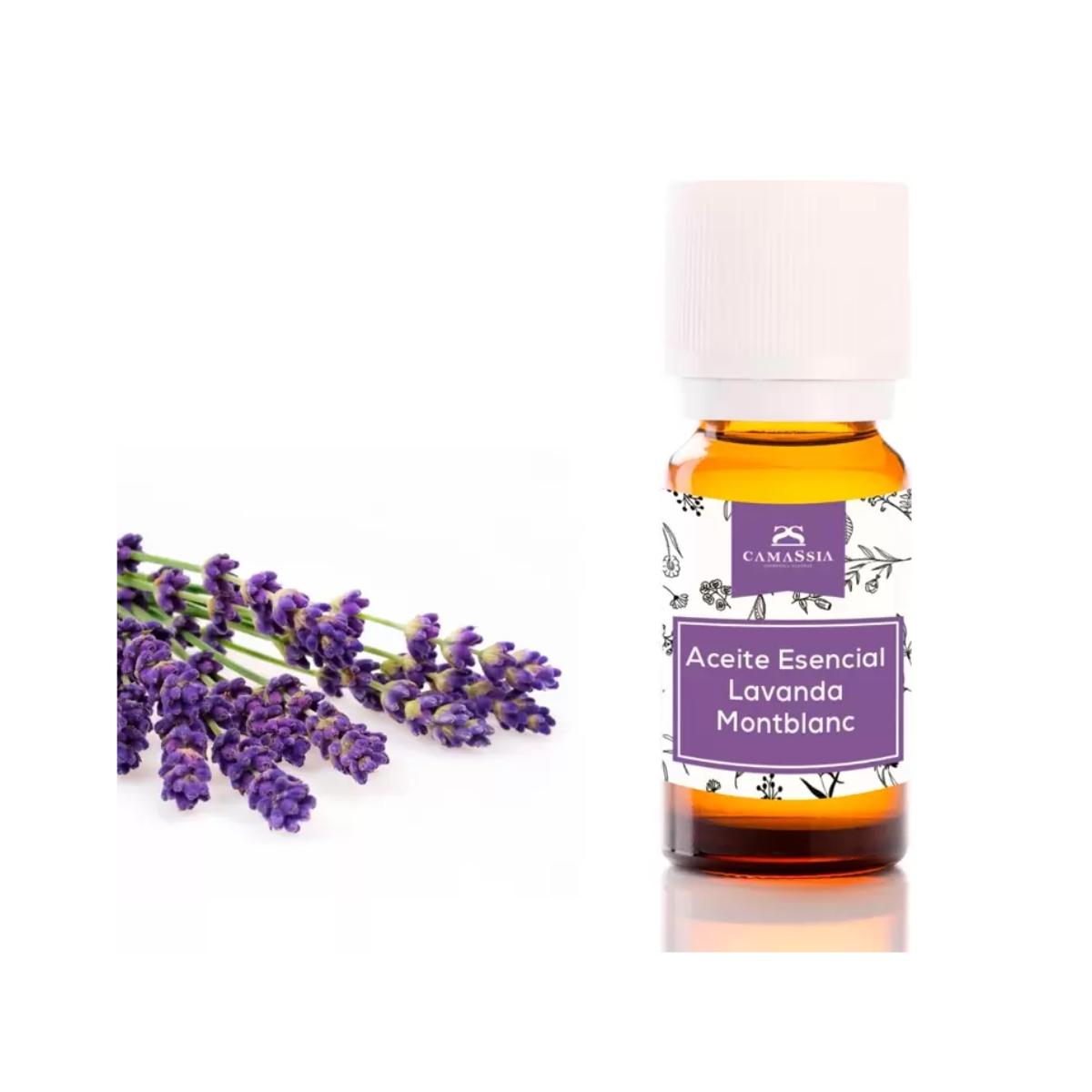 Lavender Essential Oil, Camassia 30 ml