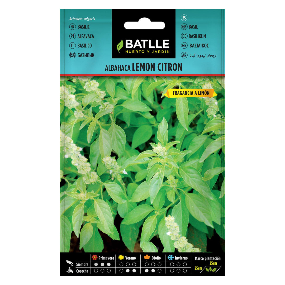 Graines de basilic Lemon Citron Batlle