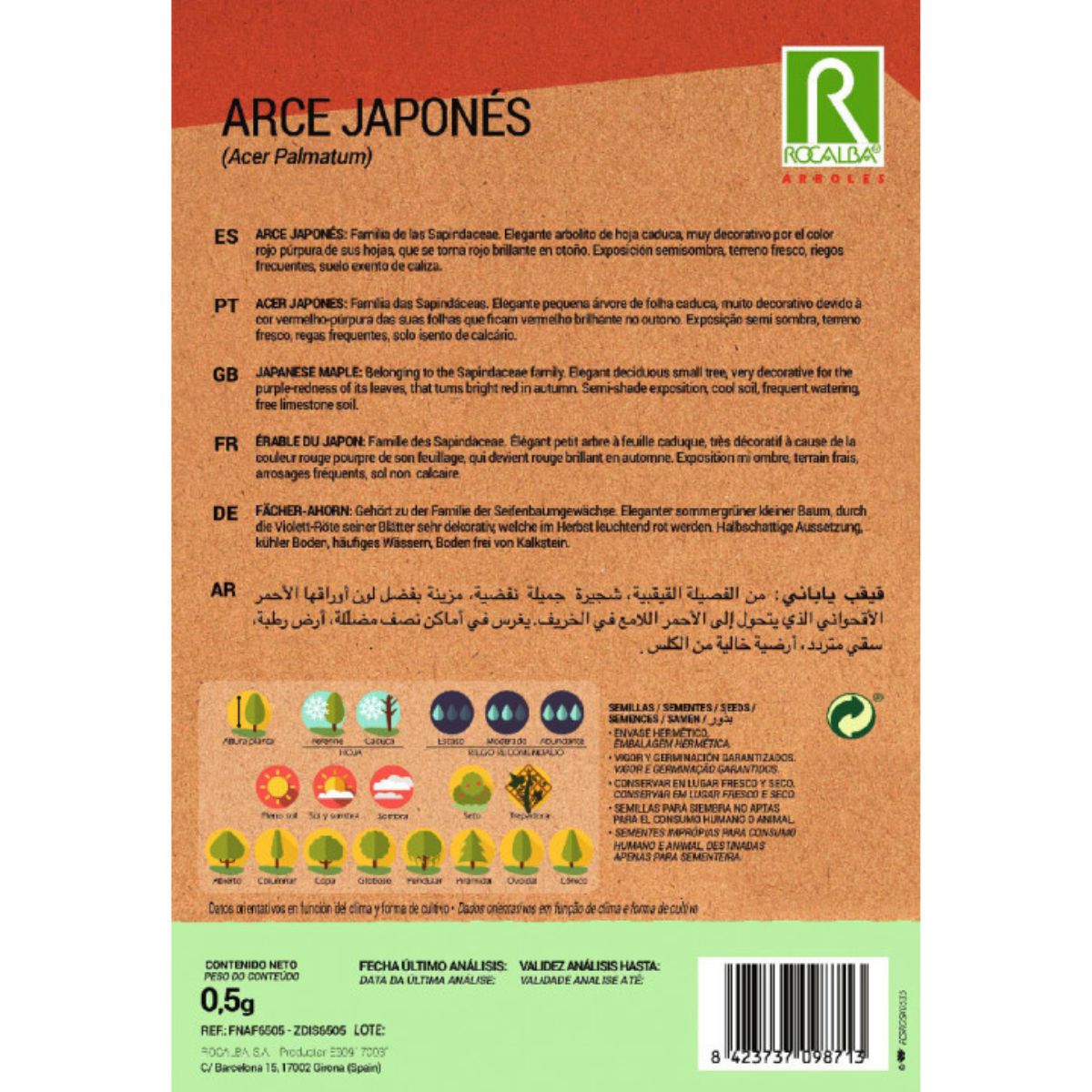 Semi di acero giapponese Acer palmatum