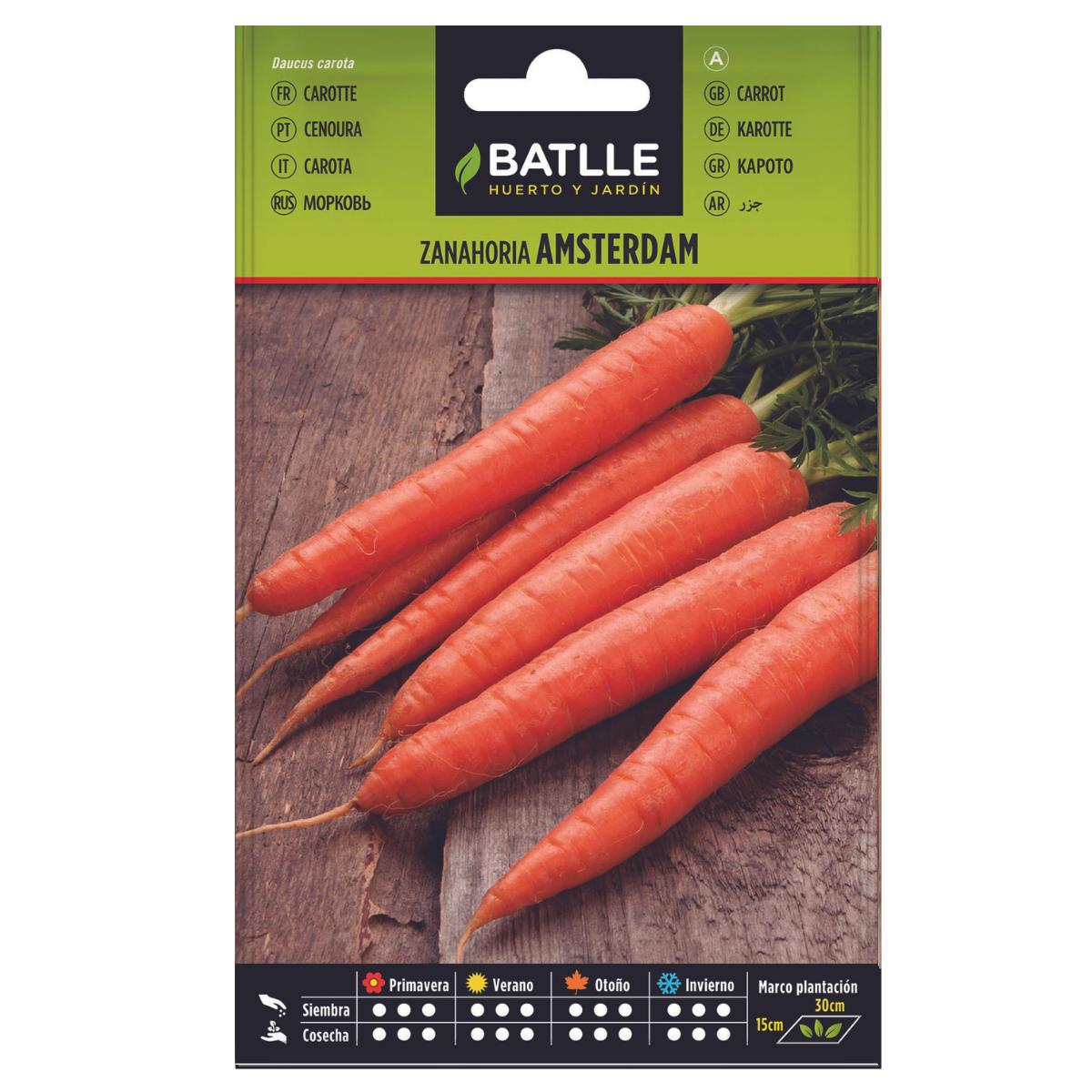 Graines de carottes Amsterdam Batlle