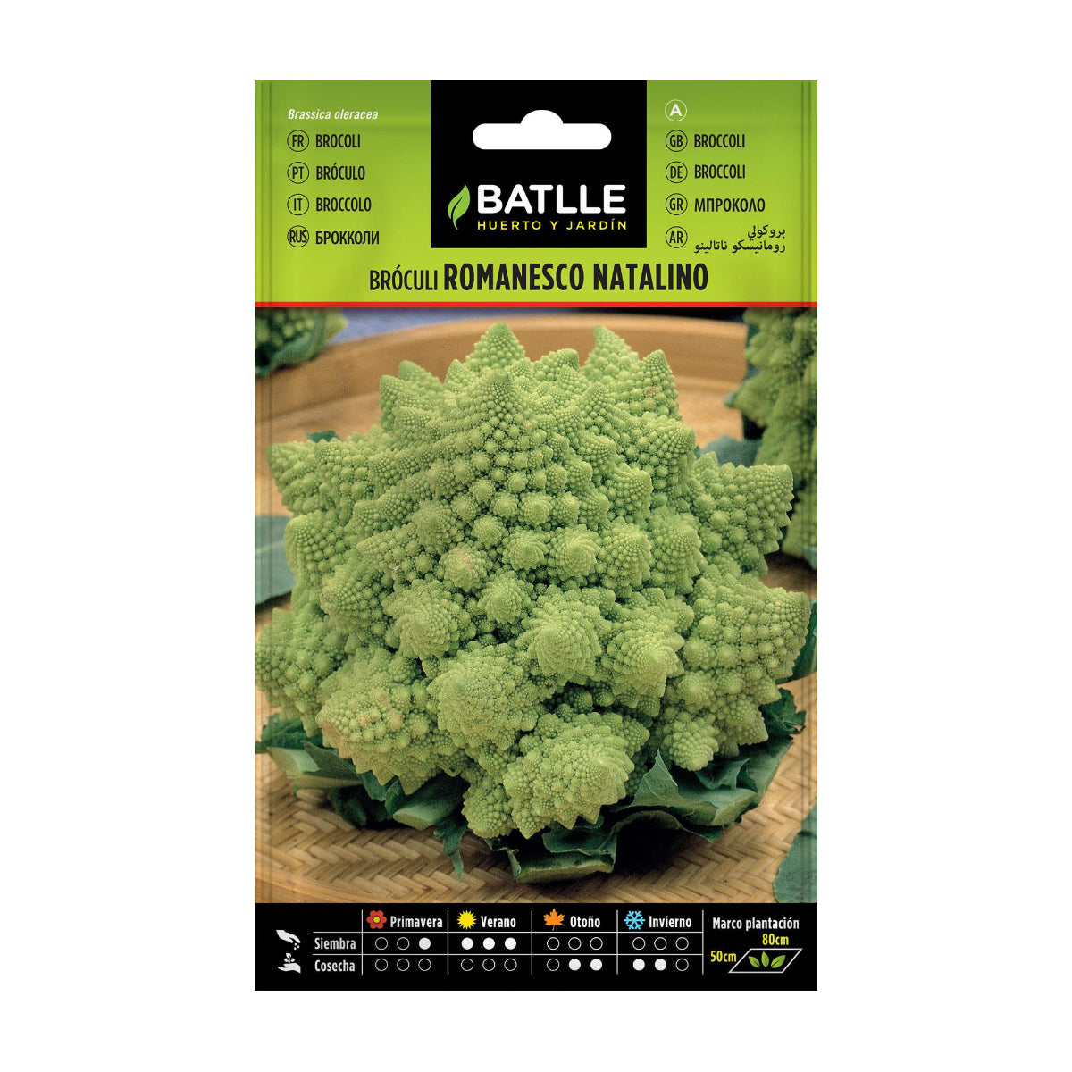 Graines de brocoli romanesco Natalino Batlle