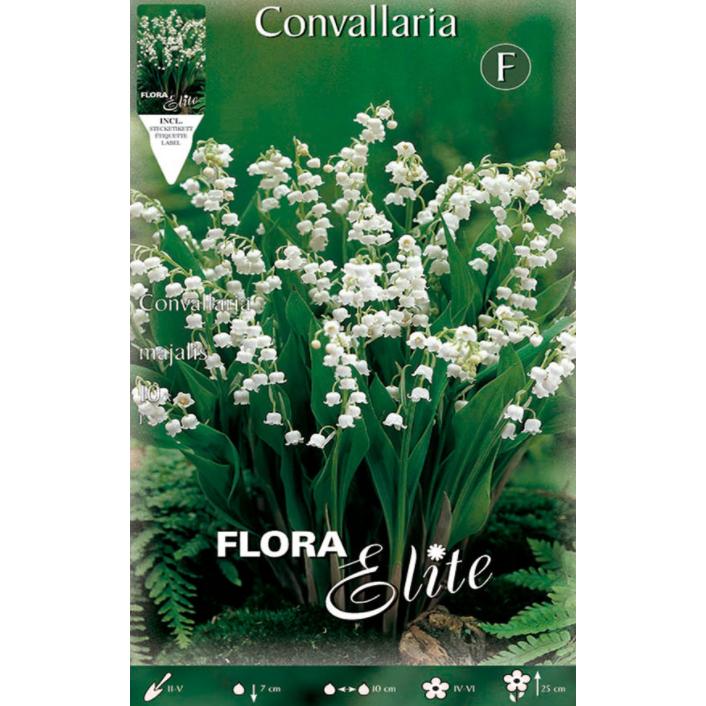 Convallaria Muguet-bollen 10 stuks