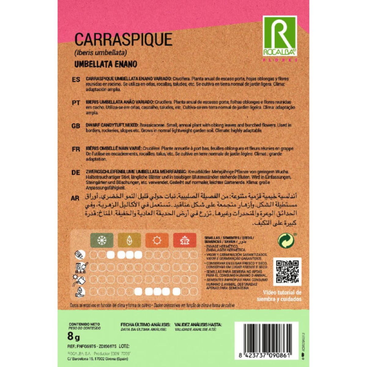 Zaden van Carraspique umbellata dwerg, gemengd