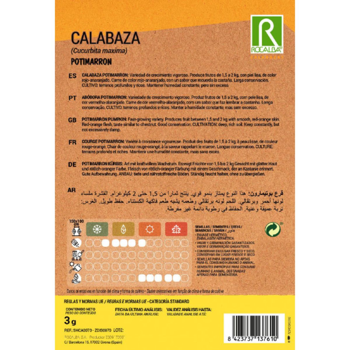 Graines de courge potimarron