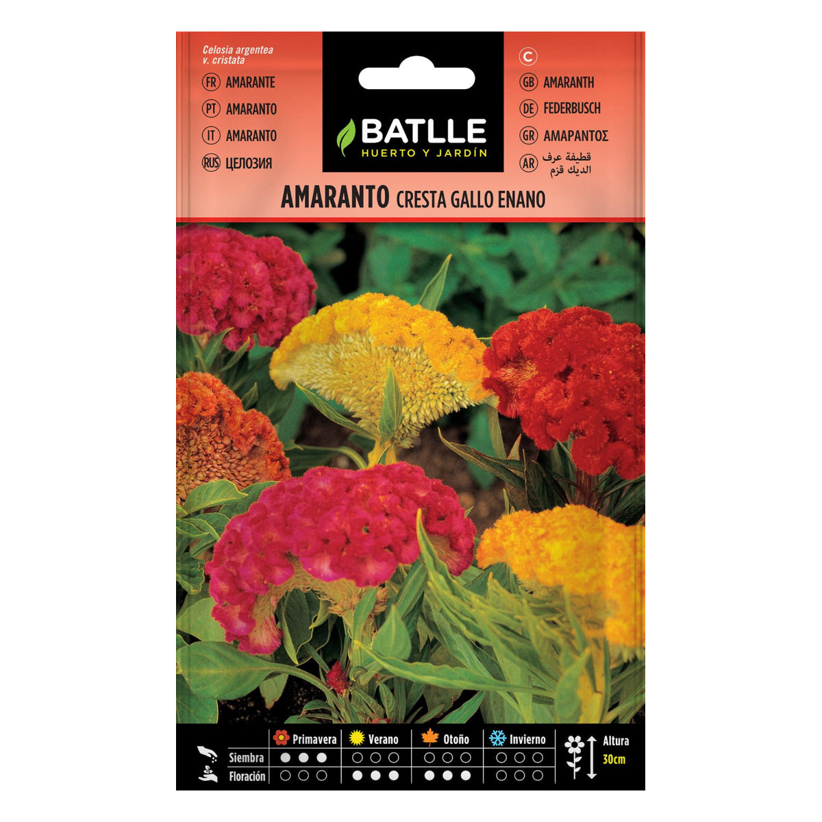 Amaranth-Samen „Crest de Gallo Dwarf” von Batlle