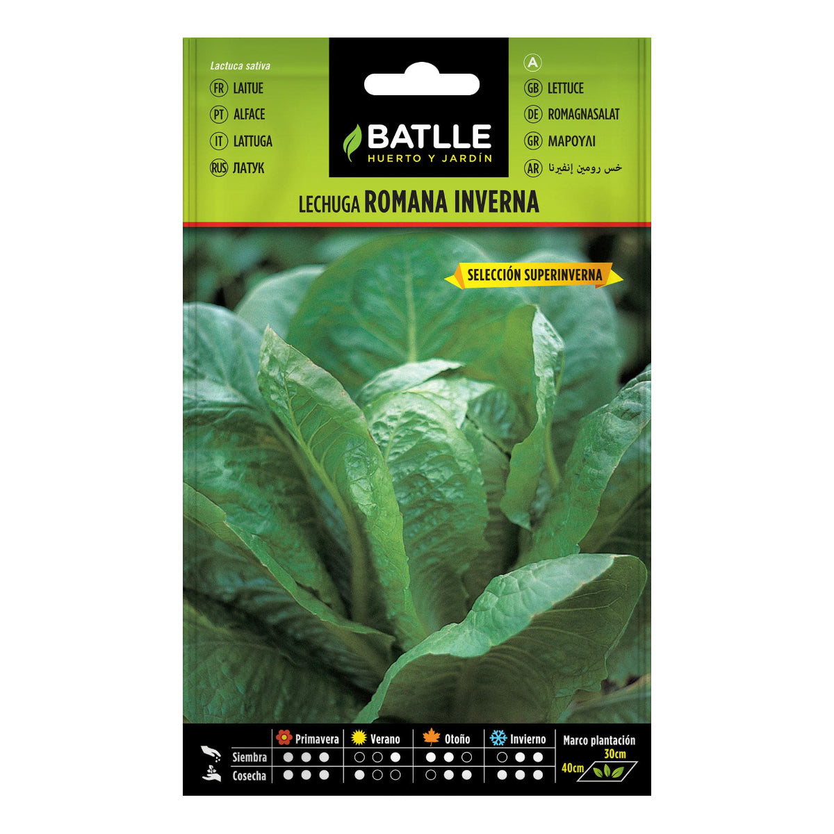 Inverna sel. Super Inverna Batlle Lettuce Seeds