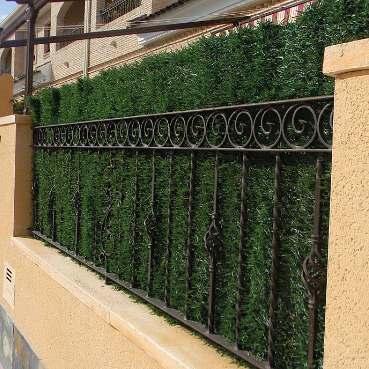 Zweifarbige Hecke mit Efeublättern Faura 1,5 x 3 m