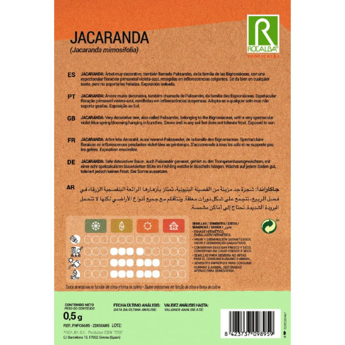 Jacaranda-frön Jacaranda mimosifolia