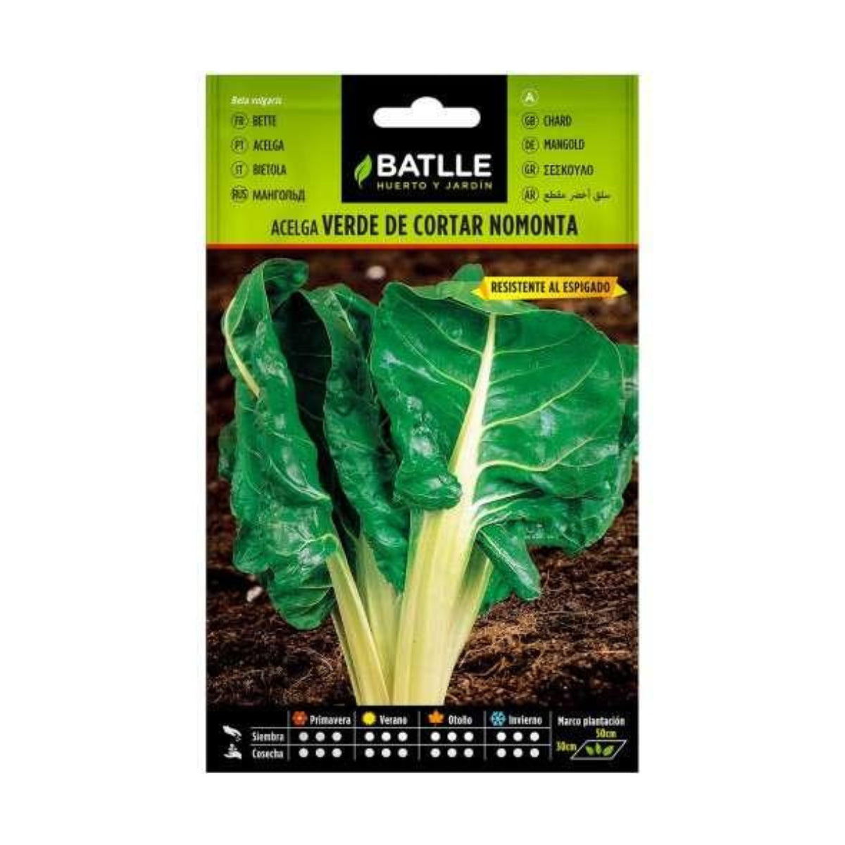 Semillas de Acelga verde de cortar nomonta Batlle