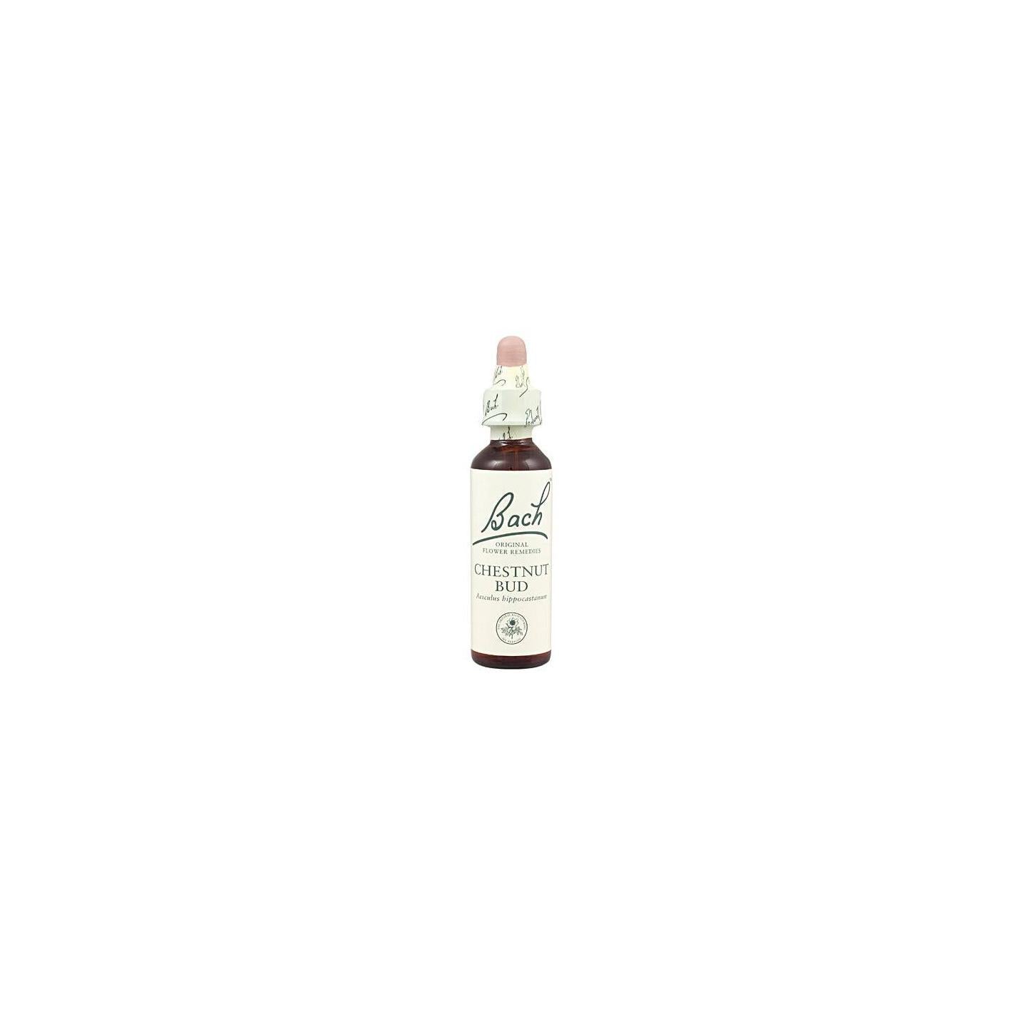 Bach 07 Chestnut Bud 20 ml Bach