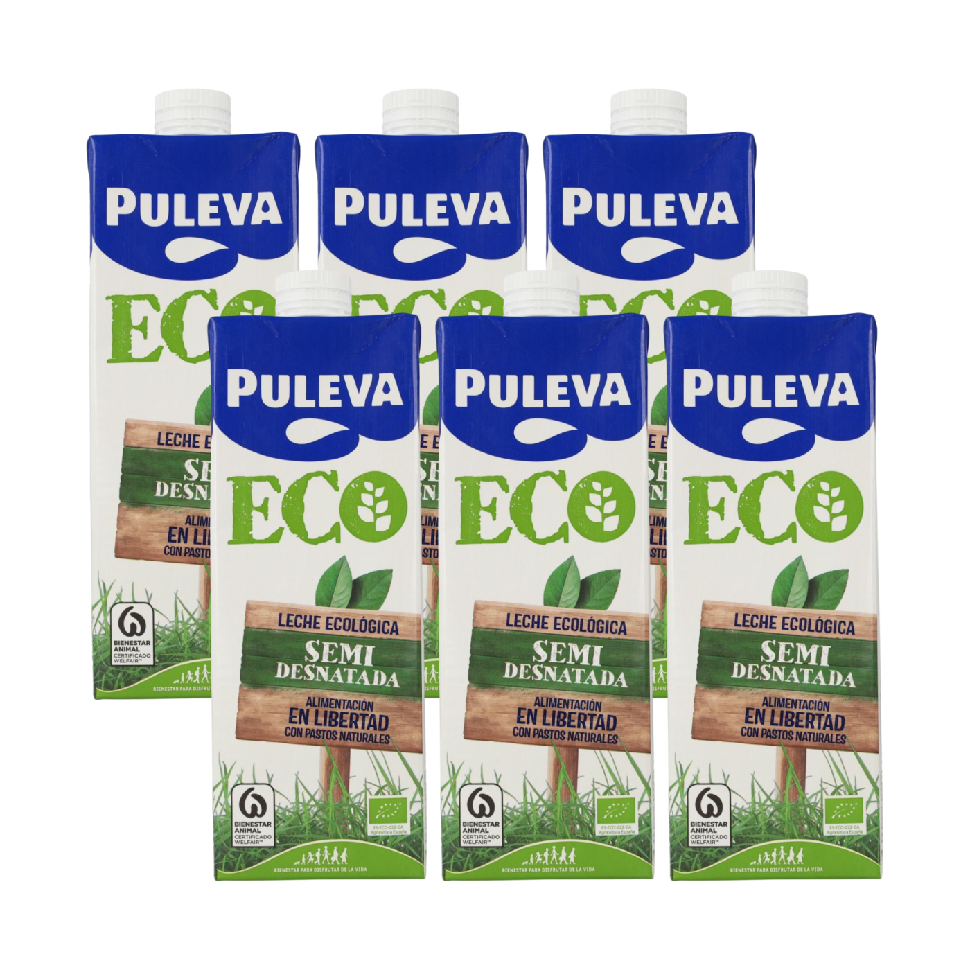 Lot de 6 briques de lait demi-écrémé bio Puleva, 1 L