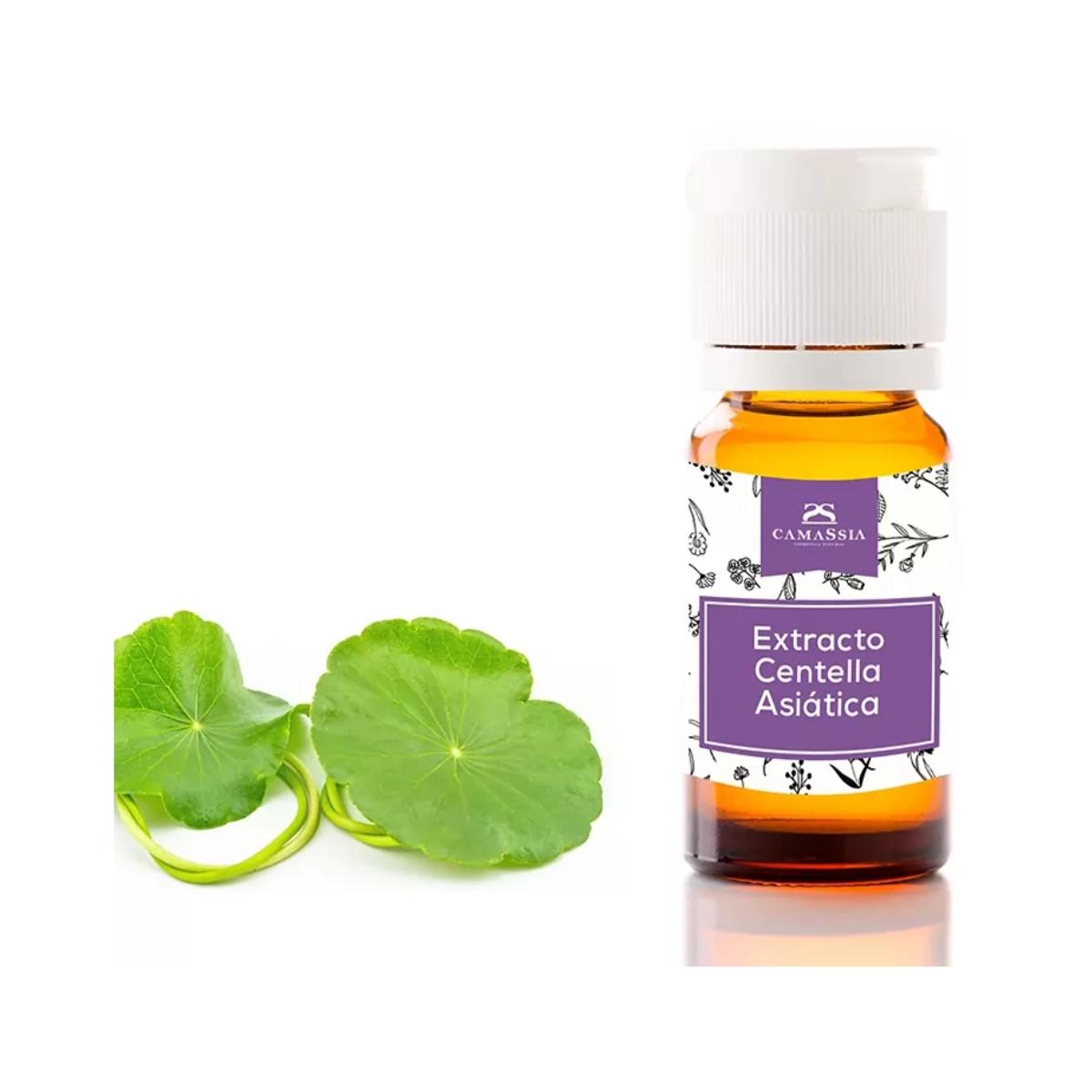 Centella asiatica-extract, 10 ml . Camassia
